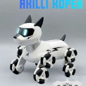 2.4Ghz Şarjlı Uzaktan Kumandalı 360° Dönen Merdiven Çıkan Akıllı Robot Kedi - Köpek